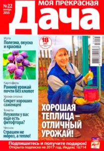 Годовая подписка на любимый журнал бабули