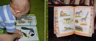 Малыш и книжка с животными и растениями