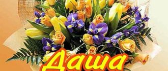 Даша красавица наша